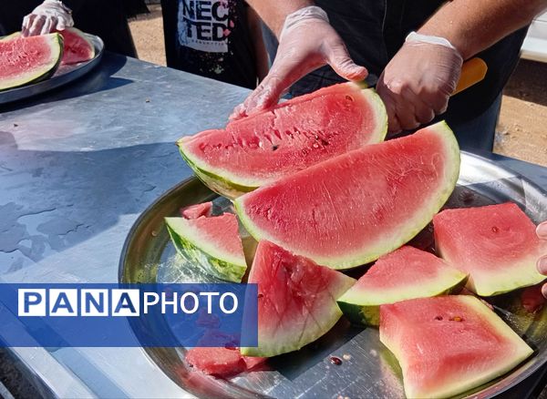 همایش جاماندگان اربعین حسینی در شهرستان بروجن