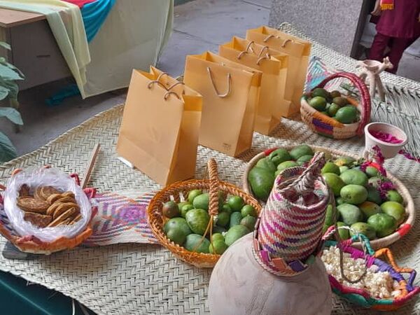 بازدید مدرس کشوری از فعالیت‌های سازمان دانش‌آموزی شهرستان میناب 