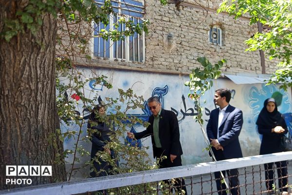 طرح محیط زیستی شهید مفقود الاثر ماکان نصیری در مدرسه رضوان ناحیه دو بهارستان
