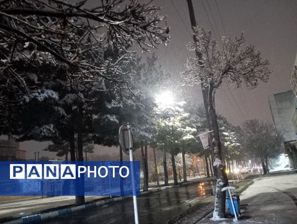 شبی برفی در نیشابور 