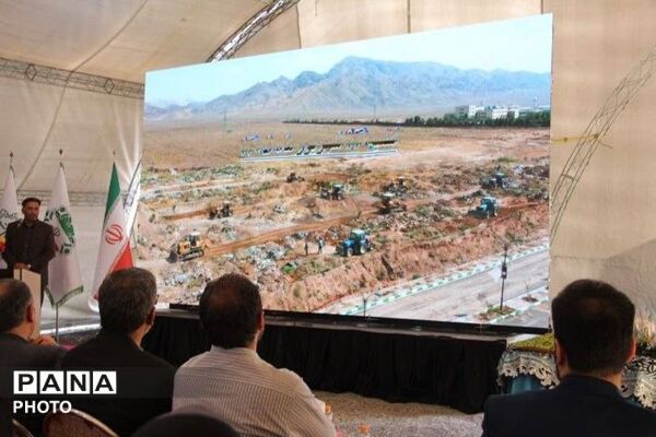 کاشت نهال زیتون در بام قیامدشت