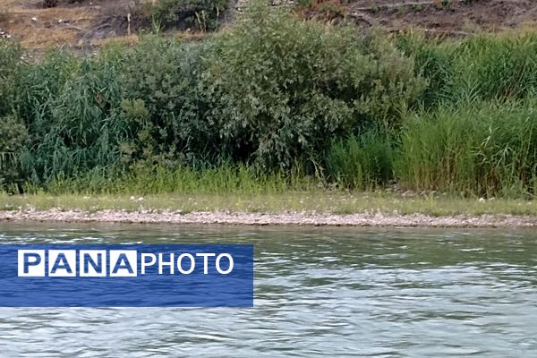 نجوای ارمند؛ سمفونی طبیعت در آبچنار