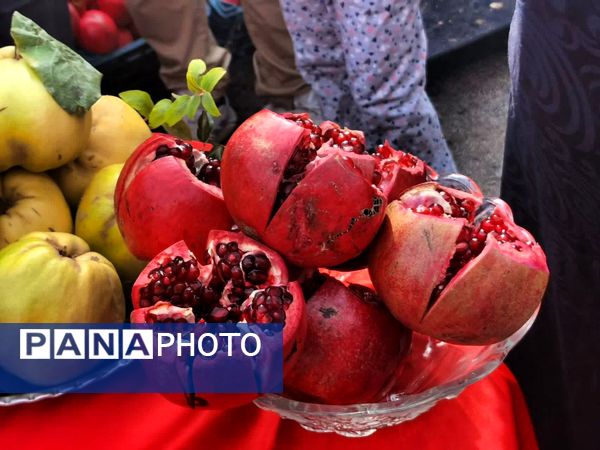 برگزاری جشنواره اناردون در روستای محمودآباد شهرستان فیروزکوه
