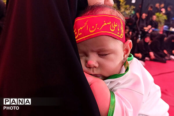 گهواره‌های سبز در سوگ کربلا؛ همایش شیرخوارگان حسینی در بجنورد/2 