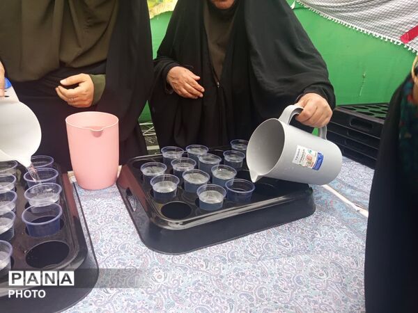 ویژه‌برنامه میلاد امام رضا (ع) برای بانوان در امامزاده سید نصرالله