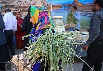 نخستین جشنواره سیر در شهداد