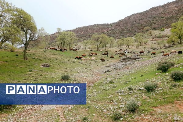 بهار، آغاز دوباره‌ی زندگی طبیعت 