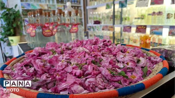آخرین روزهای فصل گلاب‌گیری در کاشان؛ از دیگ‌های مسی تا شیشه‌های گلاب