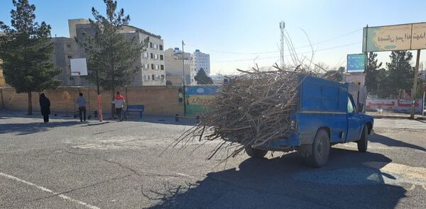 مشارکت دانش‌آموزان در فعالیت درختکاری دبستان شهدای گمنام۲