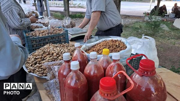 نمایشگاه تخصصی محصولات ارگانیک و صنایع دستی در بوستان لاله شهر کهک