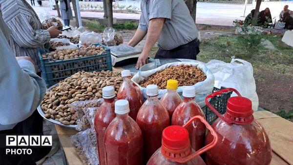نمایشگاه تخصصی محصولات ارگانیک و صنایع دستی در بوستان لاله شهر کهک