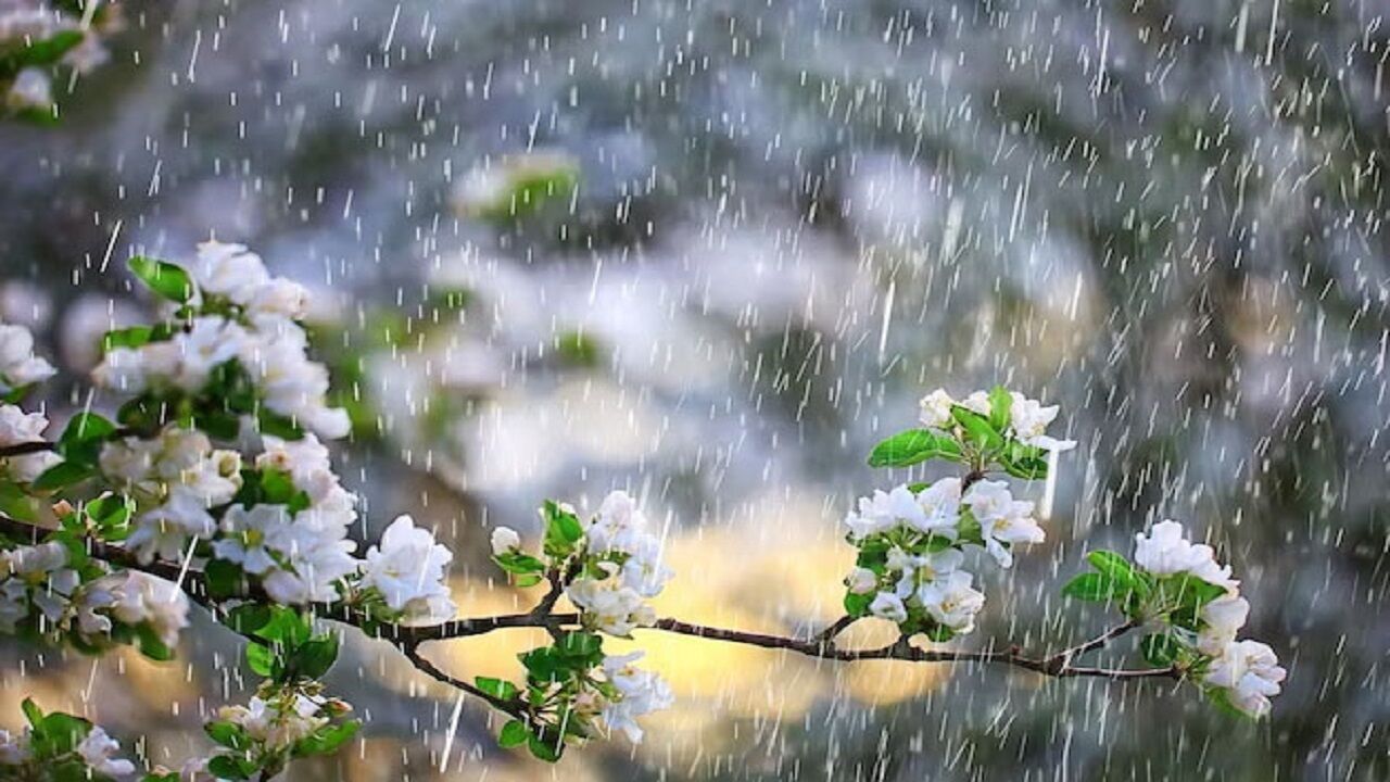 ورود سامانه بارشی جدید به کشور از دوشنبه
