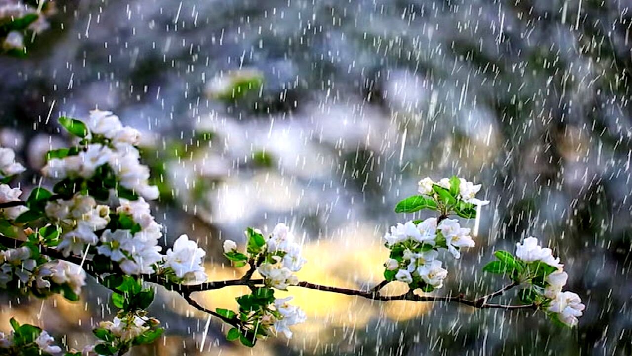 ورود سامانه بارشی جدید به کشور از دوشنبه
