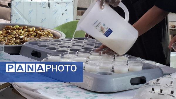 لحظه‌های ناب عاشقی در مشایه اربعین 