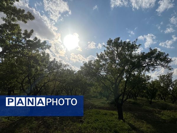 طبیعت هم با آمدن بهار زیبا شد 