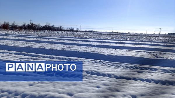 منظره زیبای برف پاییزی در باغات شهرستان نیشابور 