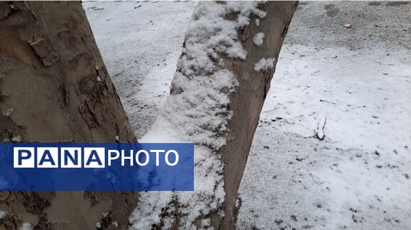 بارش نعمت‌های خداوند در آسمان مشهد