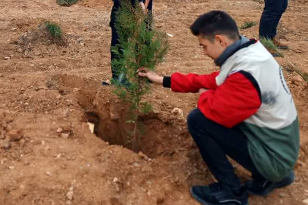 کاشت نهال در  شهر ایزدخواست به‌مناسبت هفته درختکاری
