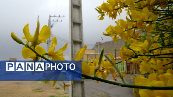 غافلگیری شهر بن از طرف آسمان