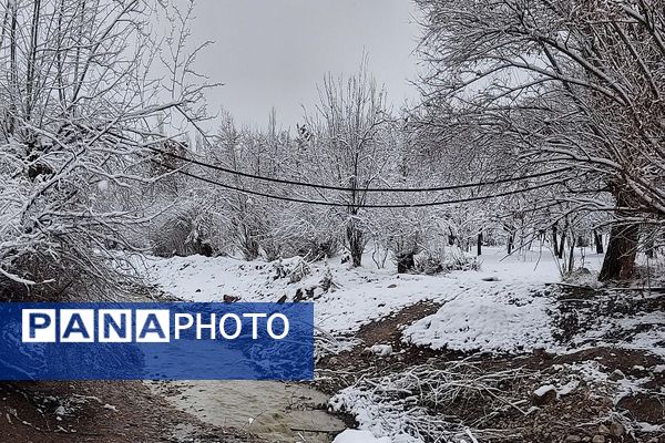 آسمان سخاوتمندانه نعمتش را در ماه شعبان به زمین شهر بار هدیه کرد