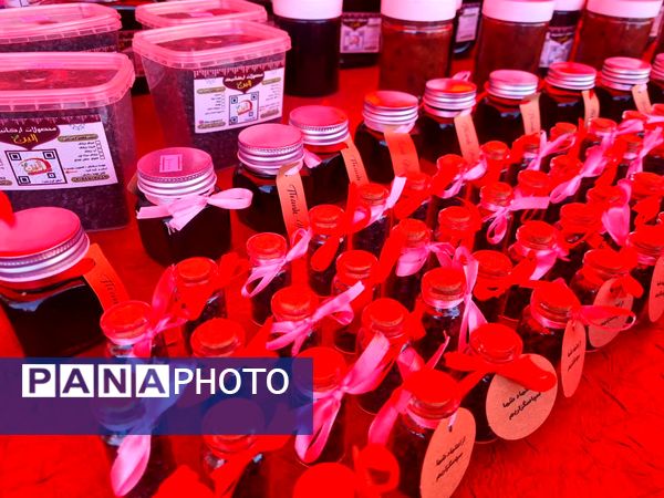 دومین جشنواره زرشک سیاه در روستای تیل شهرستان شبستر