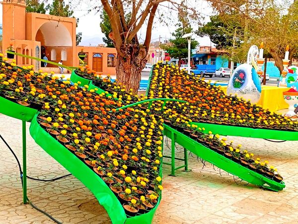 کاشمر میزبان نوروز شد