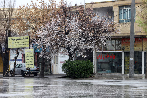 باران نوروزی در آباده