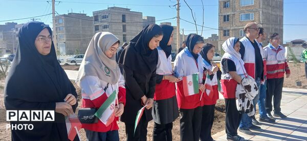 با کاشت هر نهال، ایجاد امیدی تازه در کشور