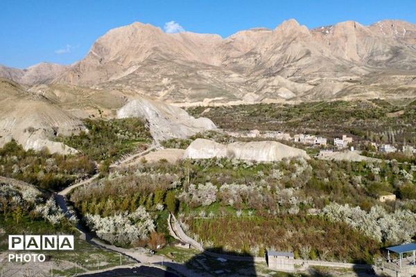 حال و هوای شهر بار نیشابور در فصل زیبای بهار
