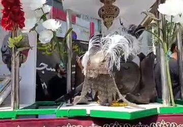 مراسم عزاداری پیامبر رحمت (ص) و کریم اهل‌ بیت (ع) در مشهد