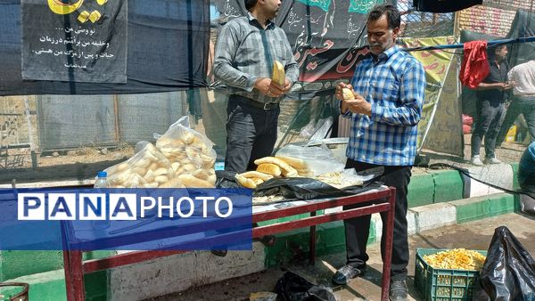 حضور زائران پیاده در جاده غدیر مشهد به نیشابور