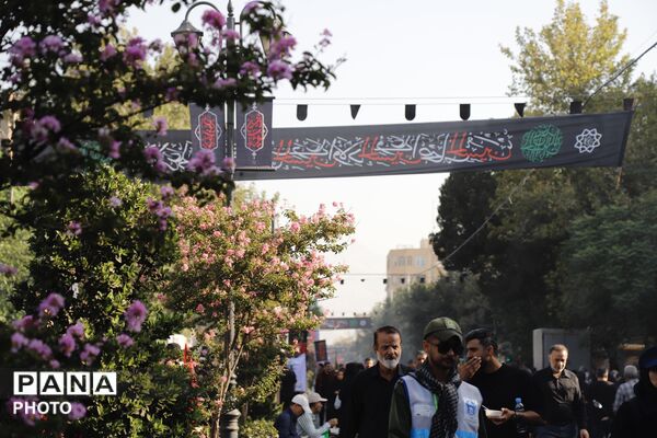 طنین «یا حسین» در مسیر دلدادگی؛ حضور پرشور جاماندگان اربعین در تهران