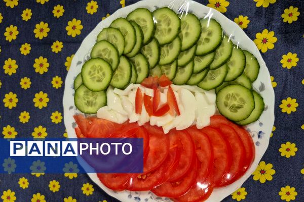 سبزِ سلامت، سپیدِ صداقت، سرخِ زندگی در دبستان هدی