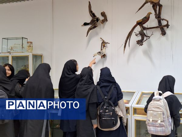 بازدید دانش‌آموزان از موزه زمین شناسی و جانور شناسی دانشگاه فردوسی مشهد