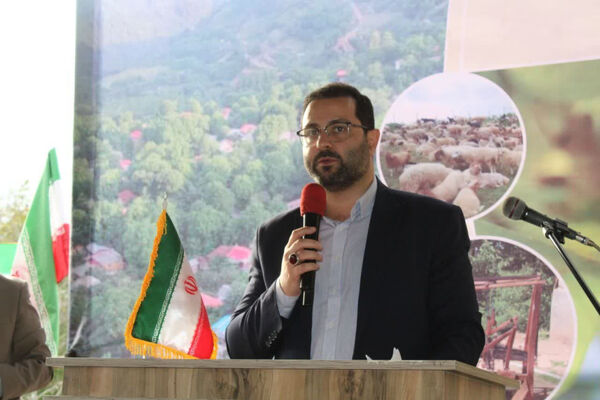 جشن شکر گزاری برداشت گردو 