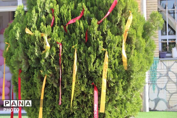 رزمایش «همکلاسی مهربان» و پویش سراسری «برای آینده‌سازان» به یاد فرشتگان آسمانی میناب