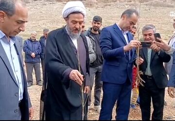 پویش ملی کاشت نهال امید در بیجار