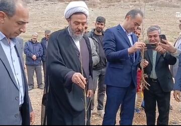 پویش ملی کاشت نهال امید در بیجار