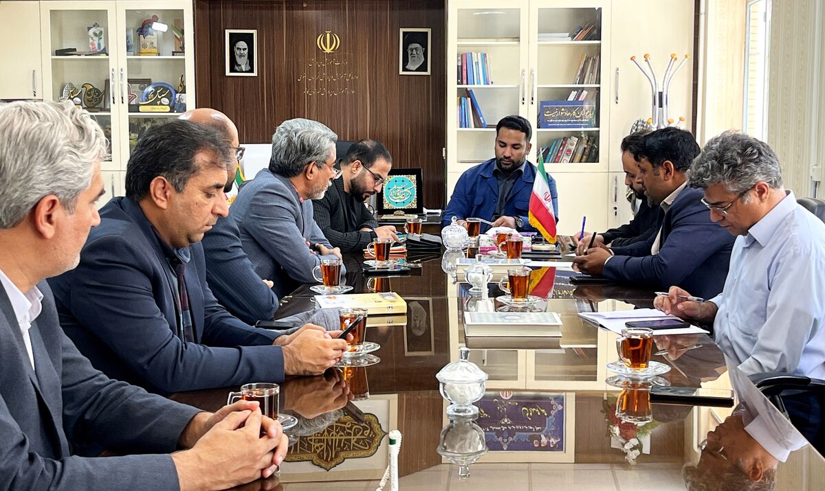 بیش از ۸۰ درصد نیروی انسانی در شهرستان کاشمر سازماندهی شدند