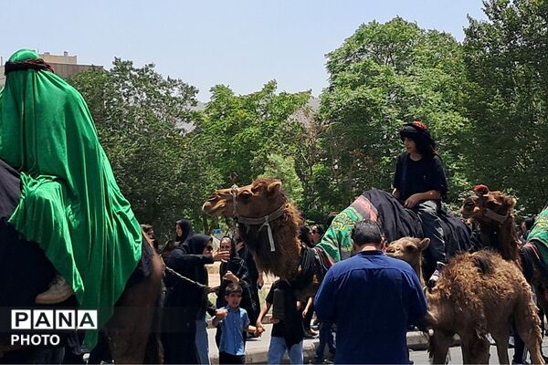جلوه‌های ماندگار عاشورای حسینی در محله دولت‌آباد شهرری