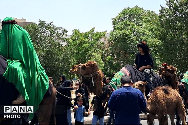 جلوه‌های ماندگار عاشورای حسینی در محله دولت‌آباد شهرری