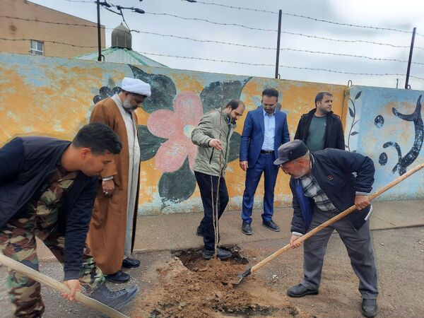 در هفته درختکاری دبیرستان دخترانه فدک تربت جام سرسبزتر شد