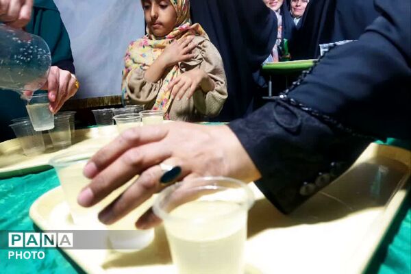 نبض شهر به عشق علی(ع) تپید