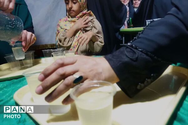 نبض شهر به عشق علی(ع) تپید