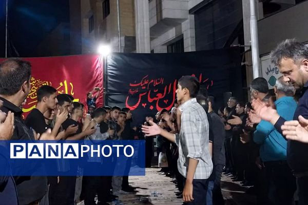 دلدادگی فرهنگیان شیراز در محرم 