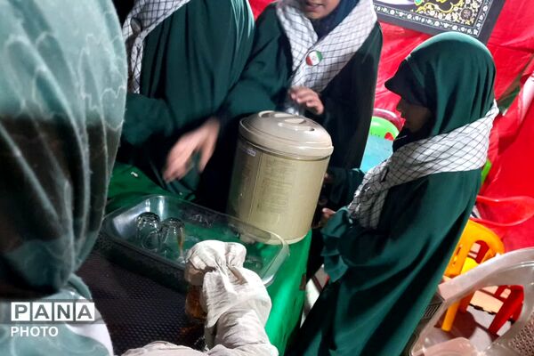 ریحانه‌های جانفدا خدمت به مهمانان امام حسین(ع) را آغاز کردند