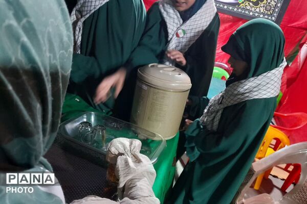 ریحانه‌های جانفدا خدمت به مهمانان امام حسین(ع) را آغاز کردند