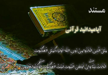 روایت دانش‌آموز خبرنگار پانا از معجزه عنکبوت