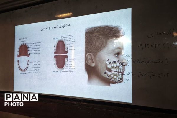 دوره آموزشی آموزگاران پایه مدارس ابتدایی شهر پرند