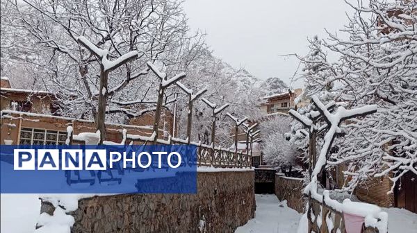 سفیدپوش شدن روستاهای یزد به روایت تصویر